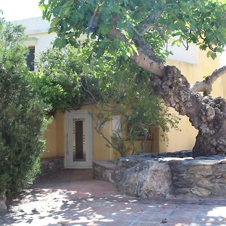 Paraiso Rural אכסניה אורגיווה