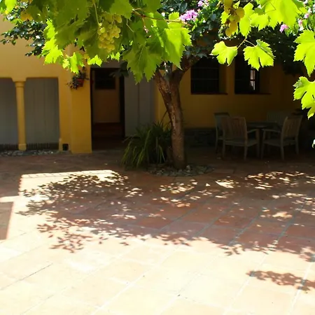 Paraiso Rural אורגיווה